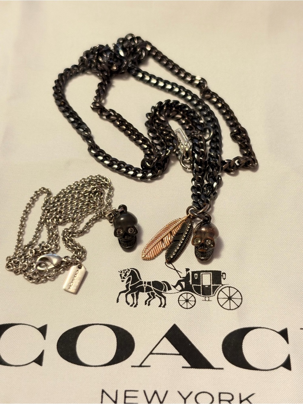 HOLDING FOR CUSTOMER Coach skull charm Necklaces